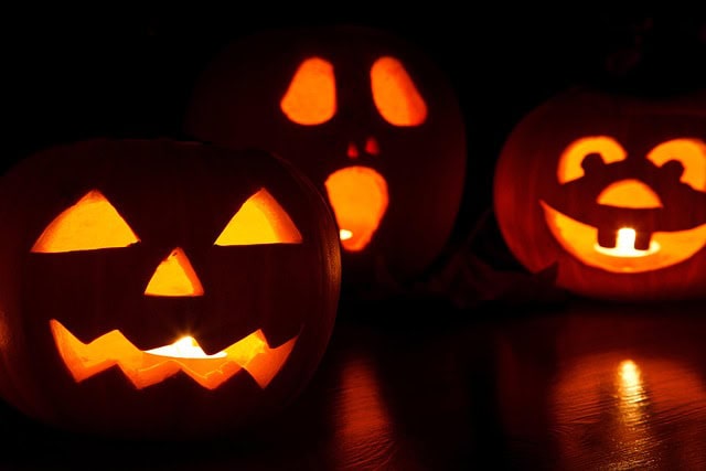 Three carved pumpkins with illuminated faces, including a classic jack-o'-lantern, ghost, and playful bear design, glow warmly in the dark.