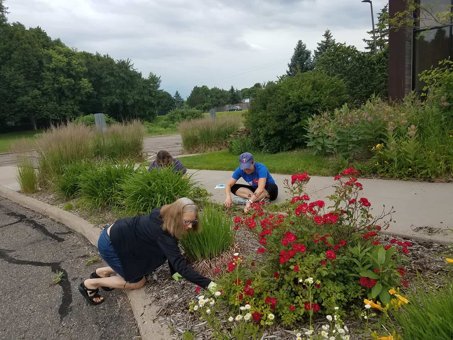 Three people gardening by a sidewalk in a lush green park, tending to colorful flowers and plants on an overcast day.